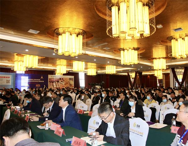 PP电子·仿照器(试玩游戏)官方网站