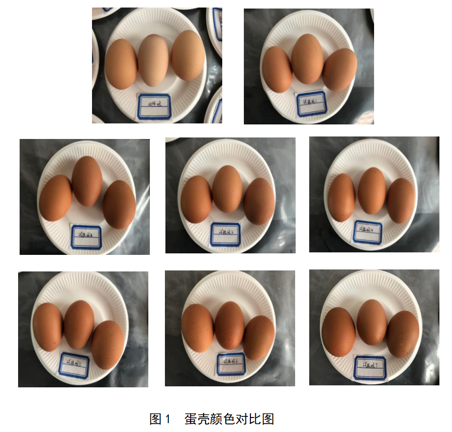 PP电子·仿照器(试玩游戏)官方网站