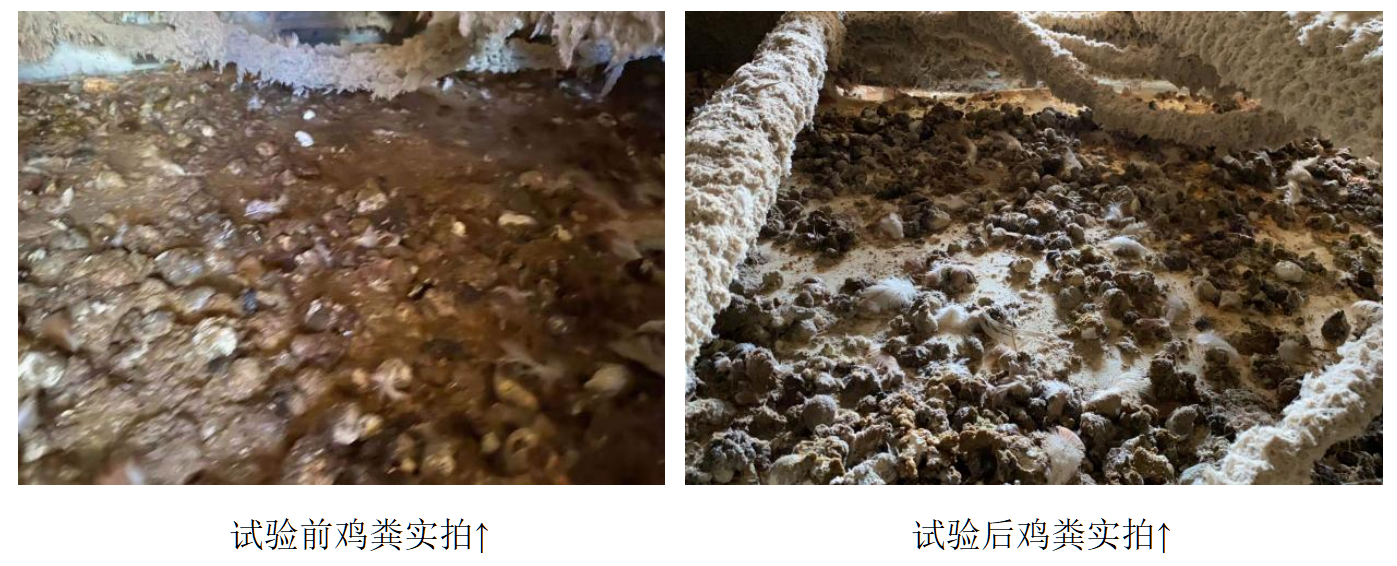 PP电子·仿照器(试玩游戏)官方网站